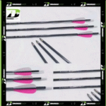 Arrow / Anak Panah Carbon Elong Outdoor Recruit Spine 900