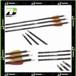 Arrow / Anak Panah Carbon Outdoor Elong Recruit Spine 1100