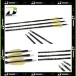 Arrow / Anak Panah Carbon Outdoor Elong Recruit Spine 1000