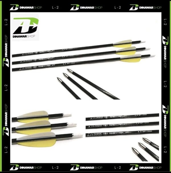 Arrow / Anak Panah Carbon Outdoor Elong Recruit Spine 1000